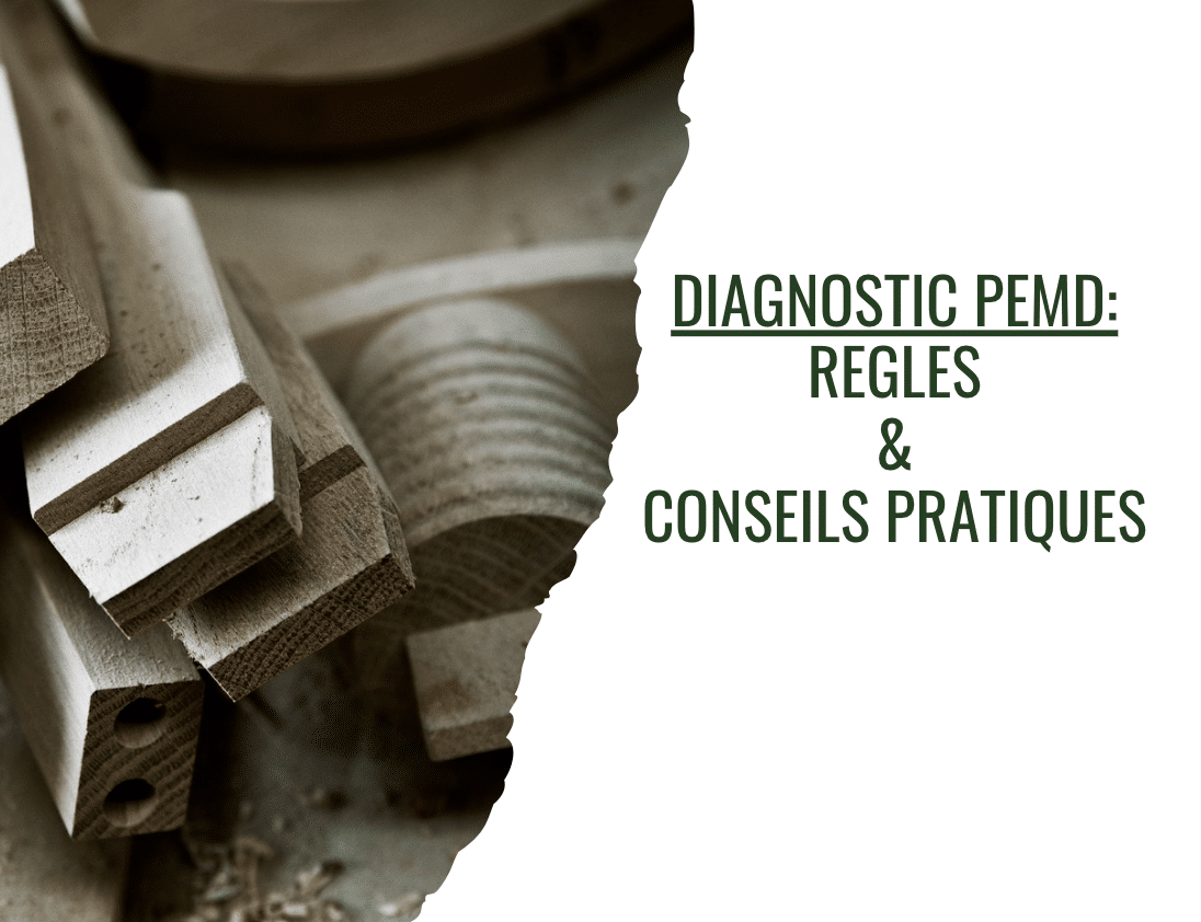 Actualités sur le diagnostic PEMD - Taléo Environnement